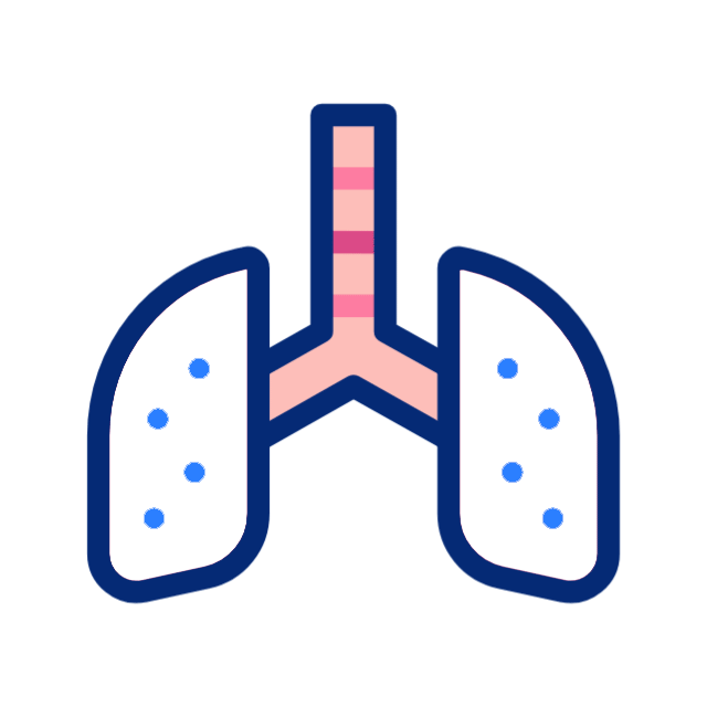 lung